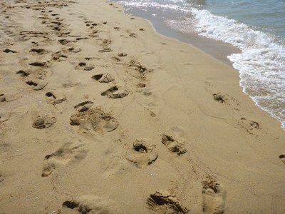 Bild: Fusspuren im Meeressand, c/o M.Geiger
