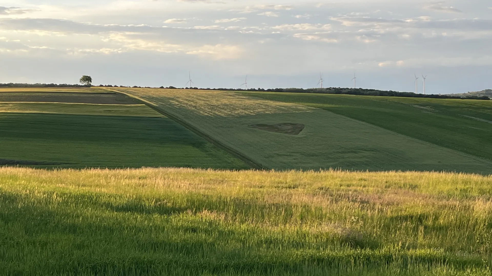 Abendstimmung im Weinviertel